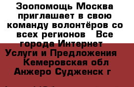 Зоопомощь.Москва приглашает в свою команду волонтёров со всех регионов - Все города Интернет » Услуги и Предложения   . Кемеровская обл.,Анжеро-Судженск г.